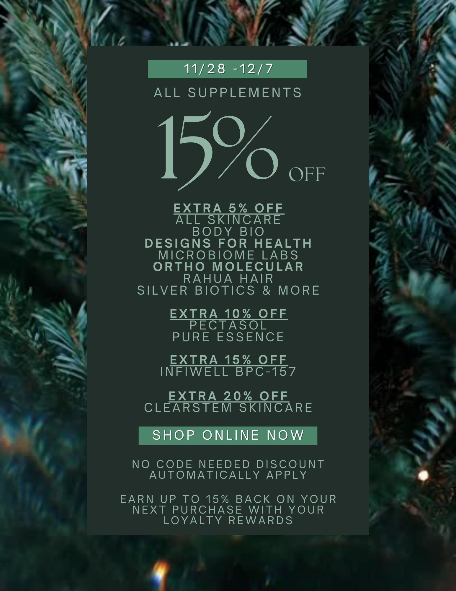 Holiday SIH Newsletter-3